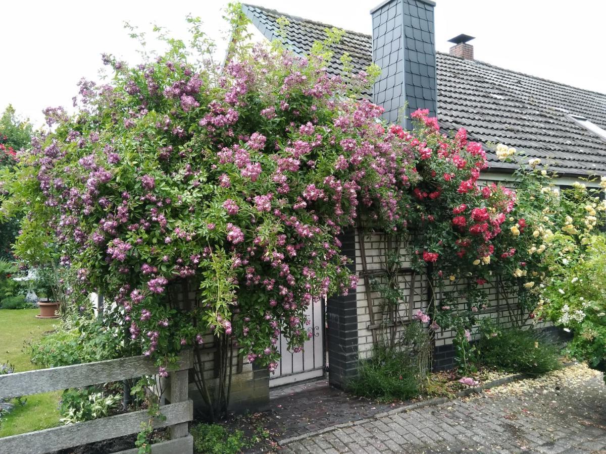 Haus Sielblick Leilighet Schillig Eksteriør bilde